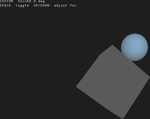 camera-perspective preview