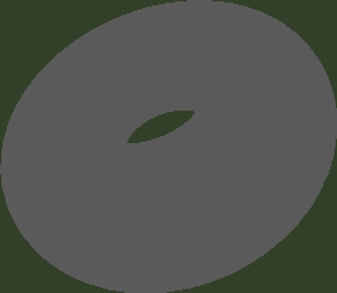 Toroid preview